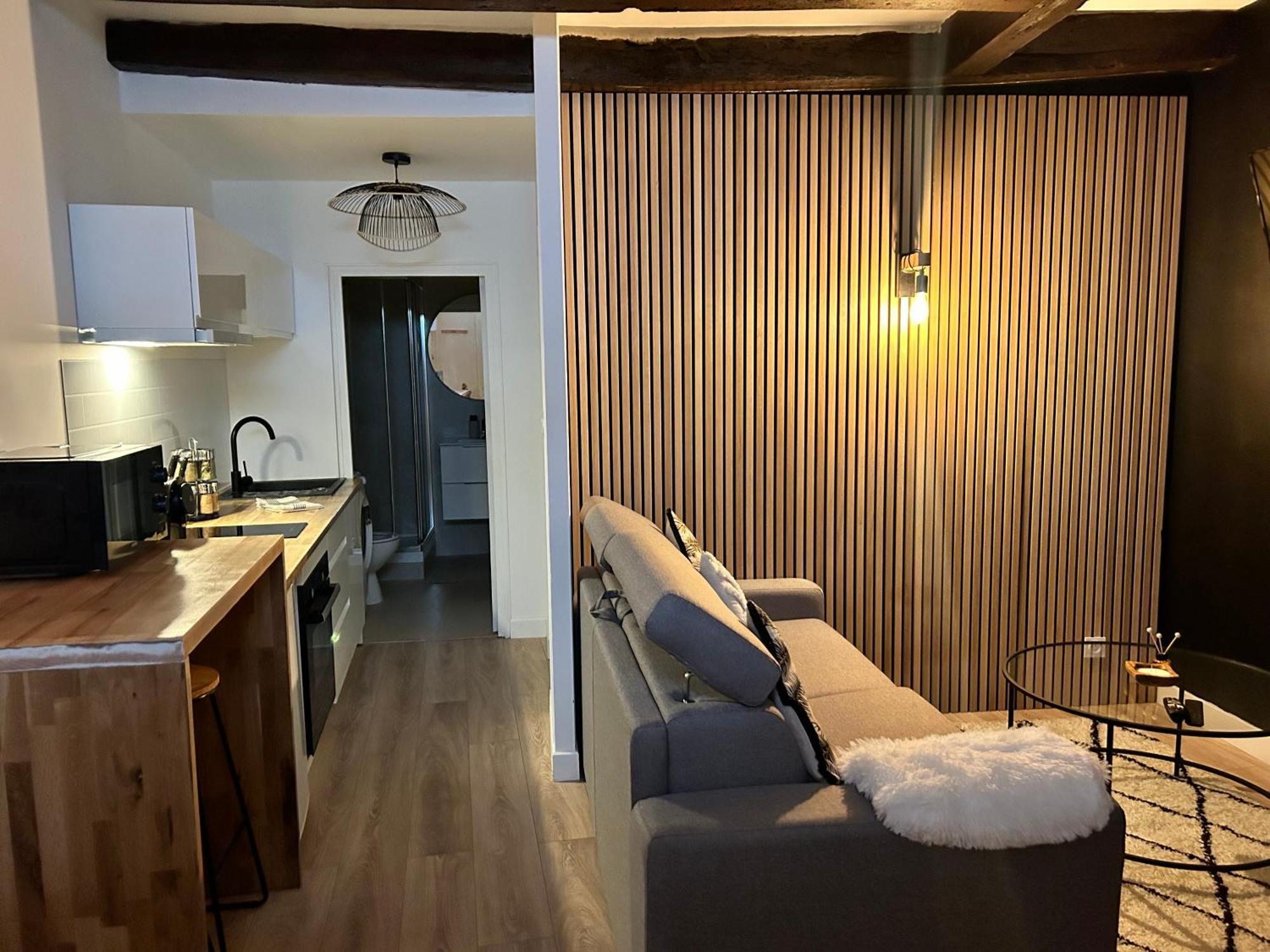 Le Petit Niortais - Centre - Wifi - Netflix - Amazon Apartment *